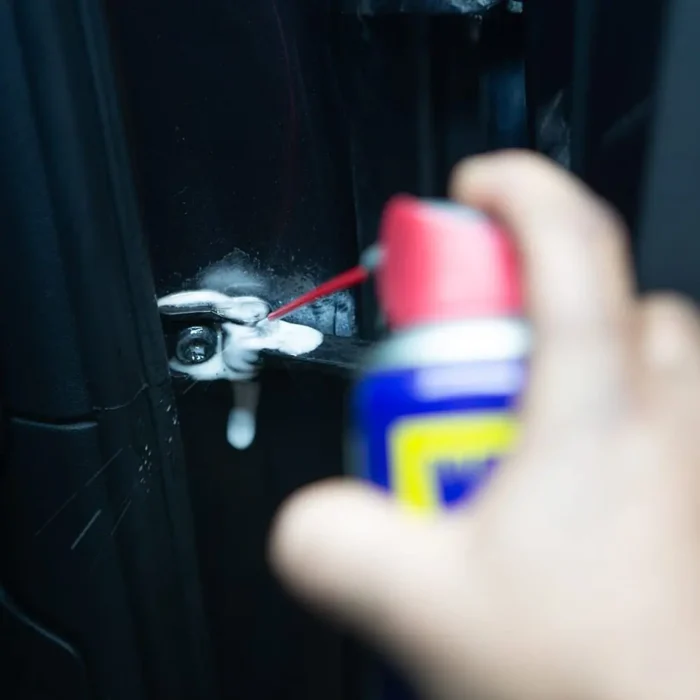 WD-40 Lubrificante multifunzione 250 ml - immagine 2