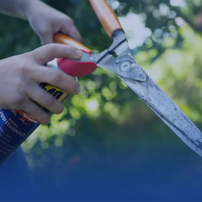 WD-40 Lubrificante multifunzione 250 ml - immagine 3