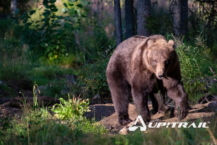 Travel Planner - Finlandia - Itinerario su Misura - immagine 3